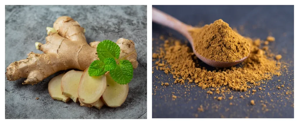 ۵ غذای فراسودمند برای سلامت روده و گوارش: راهنمای کامل 5